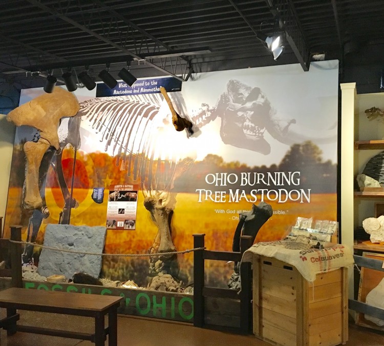 akron-fossils-science-center-photo